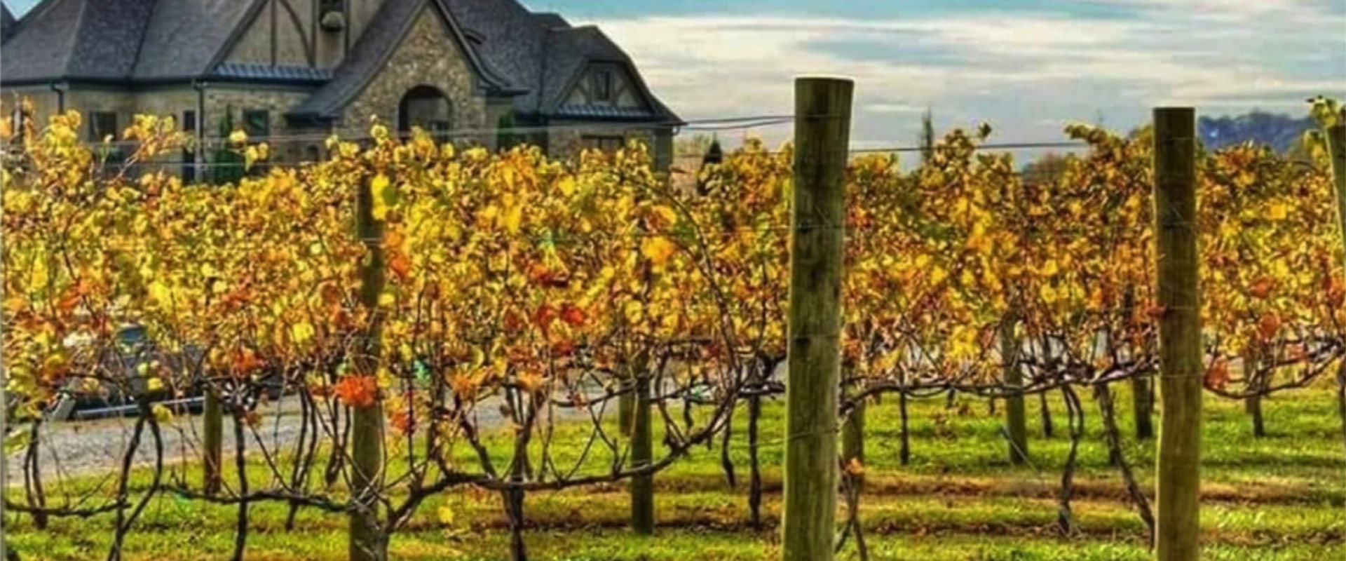 Uncovering the Finest Wineries in Central Florida with Overnight Stays