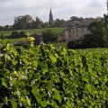 Exploring the Oldest Winery in Central Florida