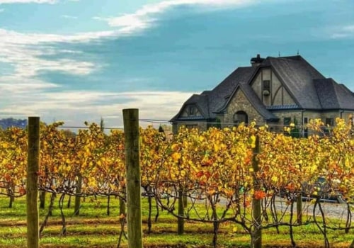 Uncovering the Finest Wineries in Central Florida with Overnight Stays